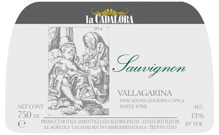 Sauvignon Appellation: SAUVIGNON VALLAGARINA IGT Cru: n/a Vineyard extension (hectares): 0.