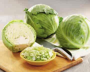 69 Fresh Cucumbers 59 Green Cabbage