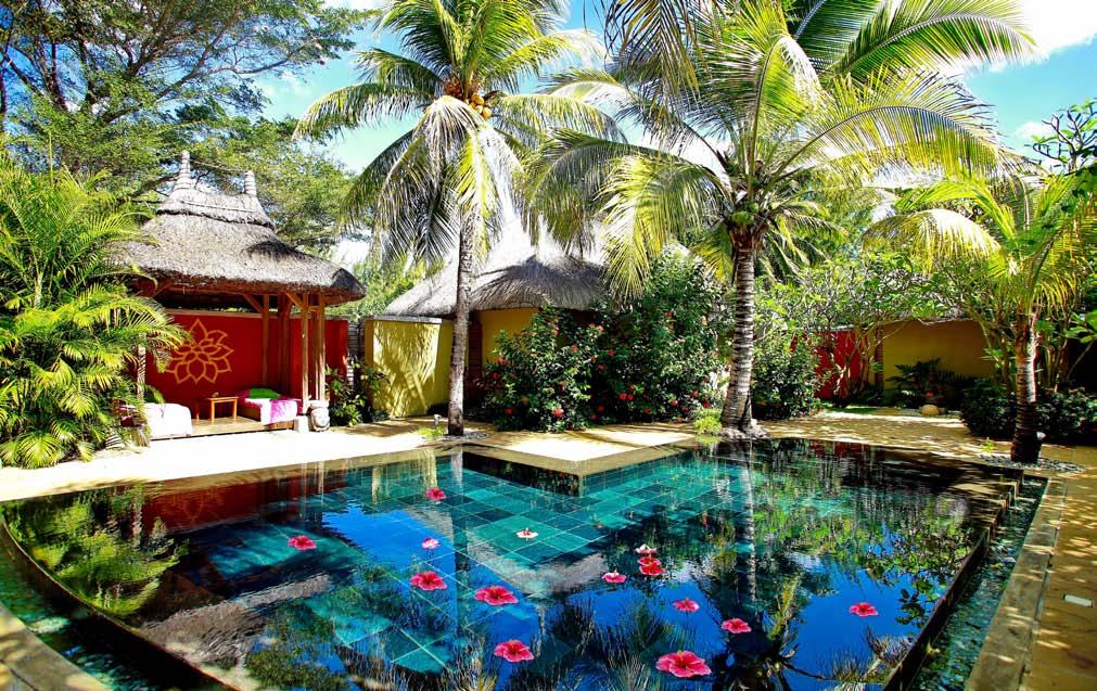 massages, tropical aroma and flower baths,