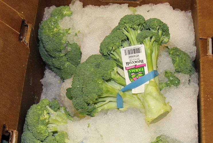 DECEMBER 15 - DECEMBER 22, 2017 MARKET NEWS 49 17 FOUR SEASONS PRODUCE OG BROCCOLI The Organic Broccoli market is flooded and deals are