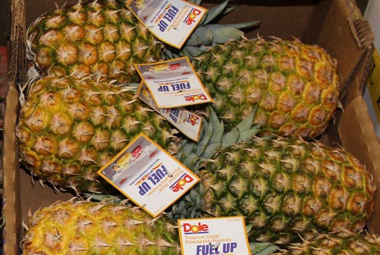 CV pineapples With the holiday, growers have limited Pineapples for the spot market.
