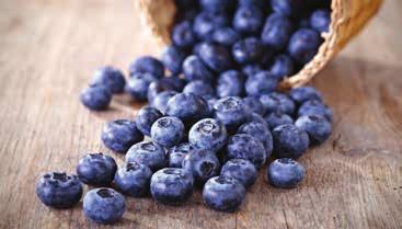 Blueberries 2 98