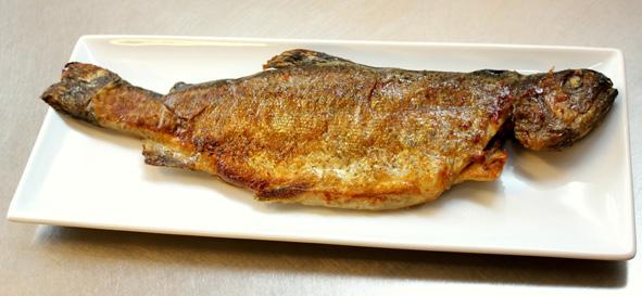 Fried trout The whole cleaned trout Wheat or rye flour Phase easy Browning Rinse the fish and slightly dry it, then roll your fish in the flour and spray with Phase.