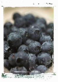 Types of Fruit Berries: Small fruits,