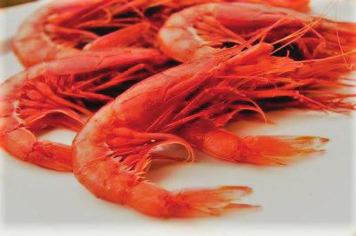 Ingredients of the Season GAMBERI PRAWNS STURIA CAVIAR LAVENDER SORREL TAJIMA WAGYU Rosso Di Mazara wild red prawns are