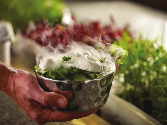 A delicate salting process enables a Stellar now has its very own living herb garden.