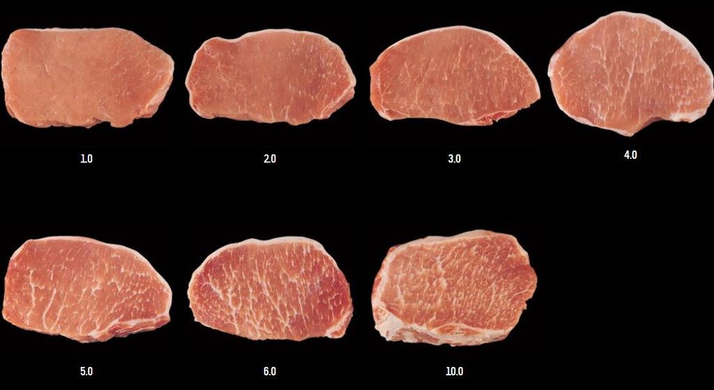 Pork approximately 80% will meet the 4 and 5 standard with a small percentage falling into the 3