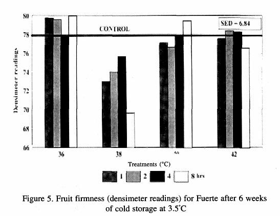Densimeter readings for Fuerte after 6 weeks storage (figure 5) showed similar trends to the 5 week storage period, but slightly poorer results at 38 C.