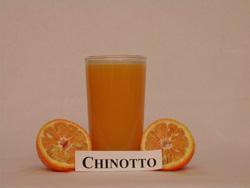 SOUR ORANGE / BITTER ORANGE Citrus aurantium Chinotto sour orange is sometimes referred to as the