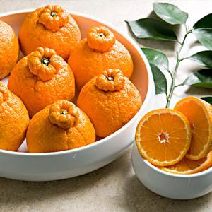 Dekopon is a seedless and highly sweet citrus fruit developed in Japan in