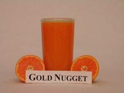 Gold Nugget Mandarin Citrus reticulata Gold Nugget fruits are usually medium in size with a