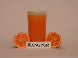 similarities between the Rangpur and true limes.