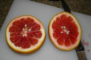 Valentine Pummelo Citrus maxima hybrid A very exciting low-acid new release with dark red pigmented flesh