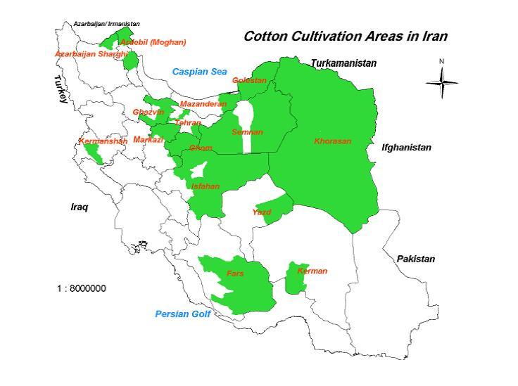 Iran Area of cultivation: 125,000 ha Yield: 770 kg/ha Total production: 96,000 ton 0.4% of the cotton production of the world Broad leaved weeds 1.
