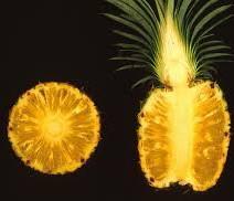 Harvesting and post-harvest handling of pineapple 17 Internal Browning Internal browning is a common postharvest physiological disorder affecting pineapples.