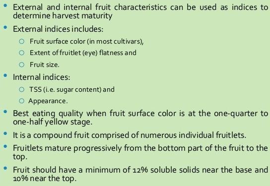 Random samples of fruit should be sliced horizontally at the point of the largest diameter.