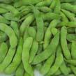 Soybeans, raw Soybeans, frozen Frozen soybeans without any kosher sensitive ingredients added are acceptable without certification.