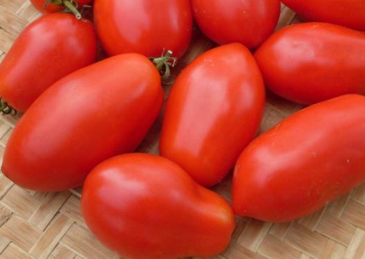 A beloved variety of long, slender shape paste type tomatoes with a slight crook in the neck, that are glossy red with some green shoulders.