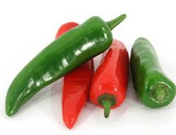 CHOCOLATE BEAUTY BELL SWEET PEPPER Hybrid 75 days Excellent sweet flavor when fully ripe. Produces 4 by 3½ wide chocolate colored peppers with sweet and crunchy flesh.