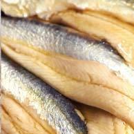 ANCHOVY FILLETS IN OIL Code PF006 800g 6 per case ANCHOVY PASTE Code