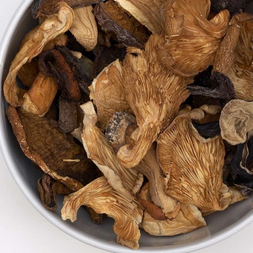 Dried Wild Mushrooms click on the