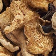 Dried Wild Mushrooms WILD MUSHROOM MIX (25% CEPES) A mix in equal parts of Cepe, Yellow