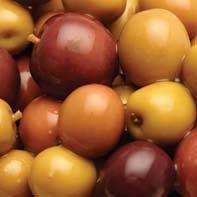 7kg CORNICABRA Soft purple olives from Andalucía Code OV035 Gross 4.