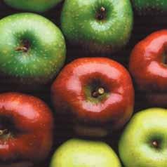 Apples Item # Style Size Description Infused 107362 Fine Granules 1/16" and smaller Dried Apple Fine Granules / Sugar Infused 107372 Fine Granules 1/16 and smaller Dried Apple Fine Granules / Sugar