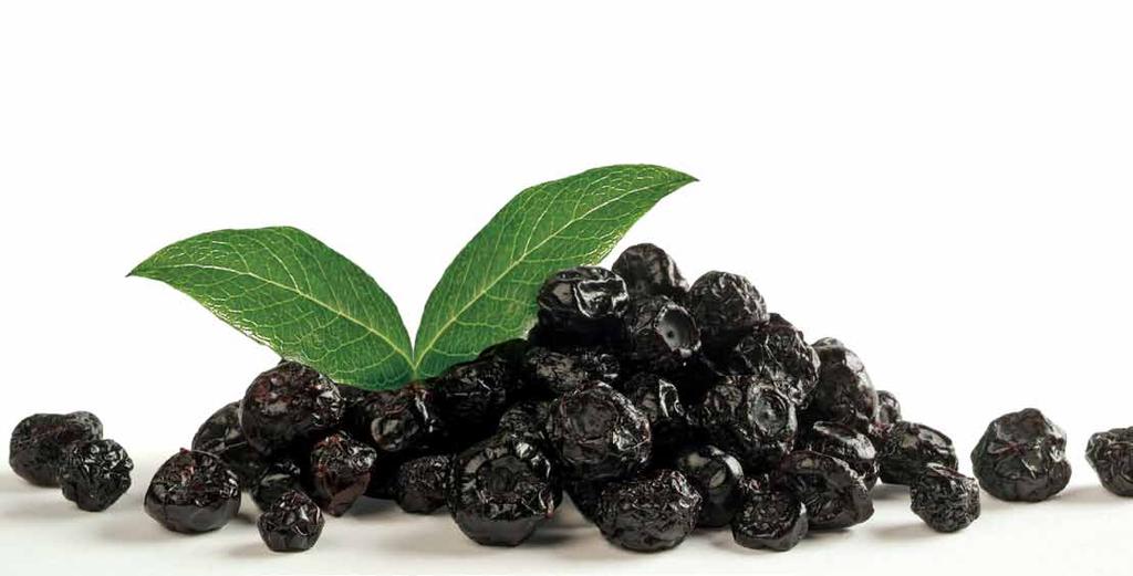 Trivia matters: Blueberries are native to North America.