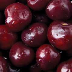 Sweet Cherries Item # Style Size Description Variety Infused 027382 Fine Granules 1/16 and smaller Dried Bing Cherry Fine Granules / Natural Bing 027312 Granules 1/16" 1/8" Dried Bing Cherry Granules
