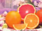 Calendar Of Fruit December Navel Oranges & Red Grapefruit January Honeybells & Navel Oranges February Temple