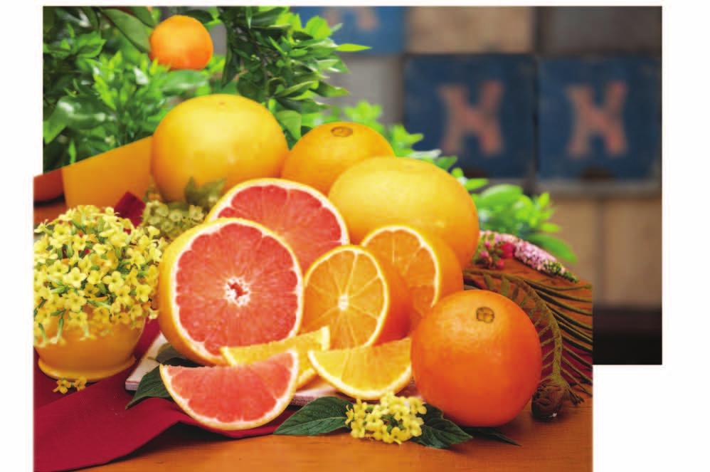 Navel Oranges & Red Grapefruit The Best Of Our Grove! Give the gift of citrus this holiday season.