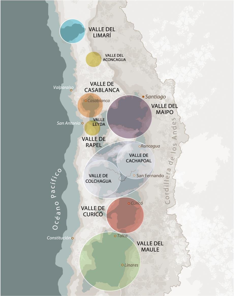 650 km Concha y Toro vineyard: Geographical Diversification CHILE (Hectares) Vineyards Planted 2012 Hectares to be planted Total Hectares Valley - Chile Limarí 1,106 177 1,283 Casablanca 410 16 426