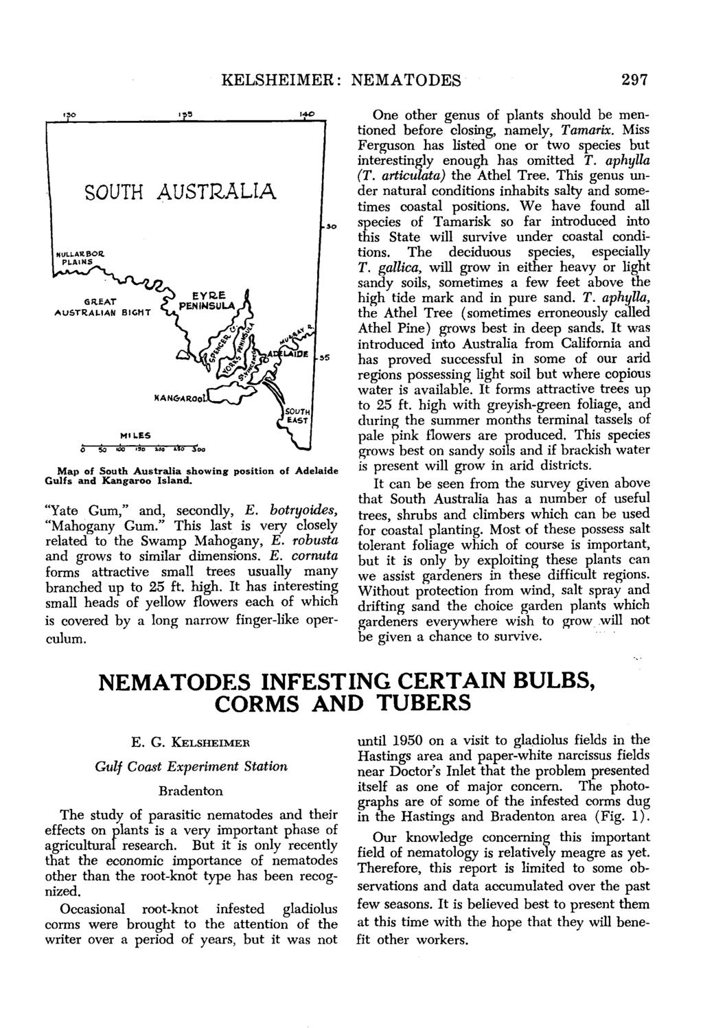 KELSHEIMER: NEMATODES 297 ISO NULUAKBOR. PLAINS SOUTH ys AUSTRALIA Map of South Australia showing position of Adelaide Gulfs and Kangaroo Island. "Yate Gum," and, secondly, E.