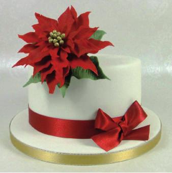 a plain cake int a stunning Christmas creatin