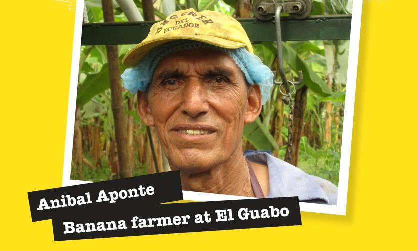 Case Study SHORT VERSION: Impact of Fairtrade Credit: All Good Organics, New Zealand Anibal Aponte has been growing bananas for nearly 30 years. When he bought his land it was overgrown and wild.