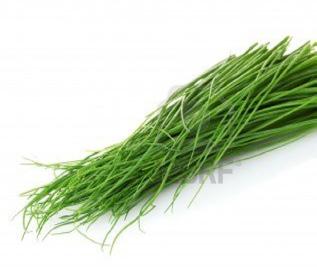 type: Plain Chives