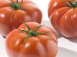 Plant habit: Indeterminate Tomato Cal J Fruit
