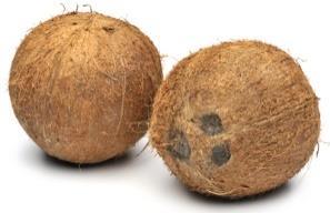 Rapha Virgin Coconut Oil A