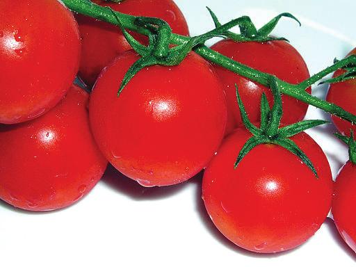Keep in juice by cutting from stem to blossom end. Ripen tomatoes in a closed paper bag for one to five days, punch several holes in the bag.