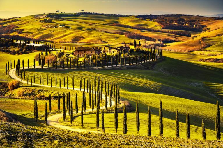 Prestige Full Day Small Group Tour ESSENCE OF TUSCANY CHIANTI CLASSICO, MONTALCINO & MONTEPULCIANO (11h) SEMI-PRIVATE TOUR - Min 4 Max 8 Pax Through the hilly expanses of the old vineyards and olive
