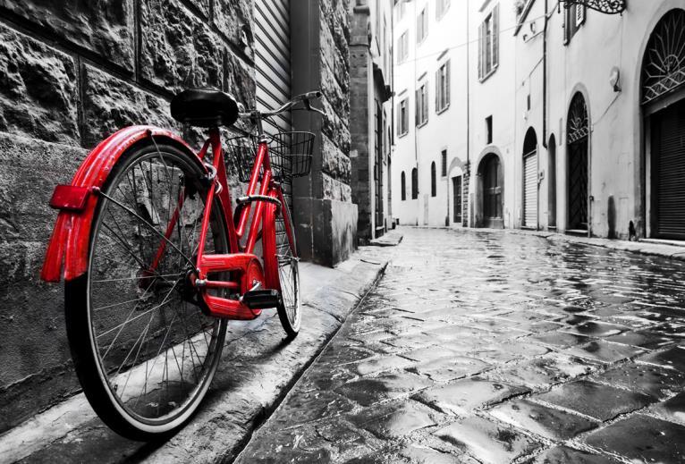 BIKE & BITES Small Group FLORENCE ART & STREET FOOD TOUR (3h) SEMI-PRIVATE TOUR - Max 12 Pax From the company that launched the first and most popular guided bike tour of Florence, "I Bike Florence",