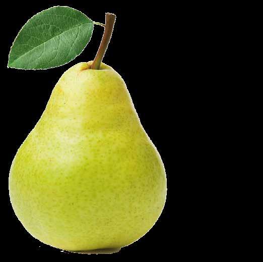 *6420610110489* *6420610110687* Product code 2501 Bonne Pear Ingredients: Pear.