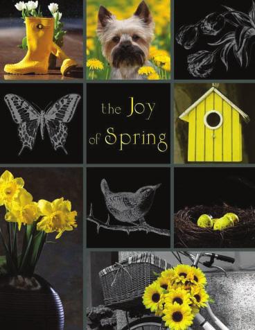 Joy of Spring Catalog Make 40-45% profit! There are goodies galore in this 24 page spring fundraising catalog!