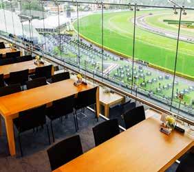 The Skyline Reserve overlooks the home straight and winning post, with patrons having the opportunity to purchase