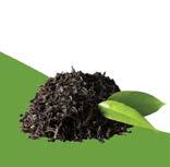 Tea Leaves Since its origin in 10th century BC China, tea has become the most widely consumed beverage in