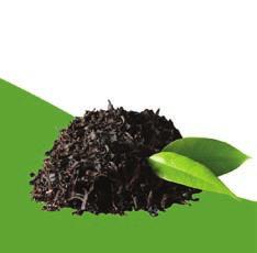 TEA LEAVES Since its origin in 10th century BC China, tea has become the most widely consumed beverage in the world.