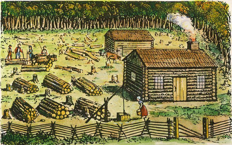 The Middle Colonies Card Farming -