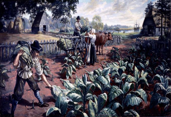 THE SOUTHERN ECONOMY: The Chesapeake region, tobacco quickly became the basis of the economy.