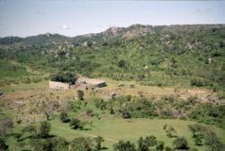 Great Zimbabwe The largest structure served as a king s court. Mixed farming and cattle-herding was Great Zimbabwe s economic base.